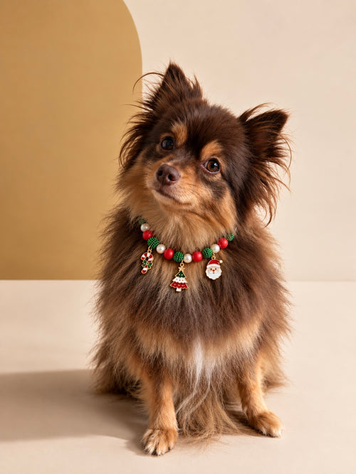Christmas Edition